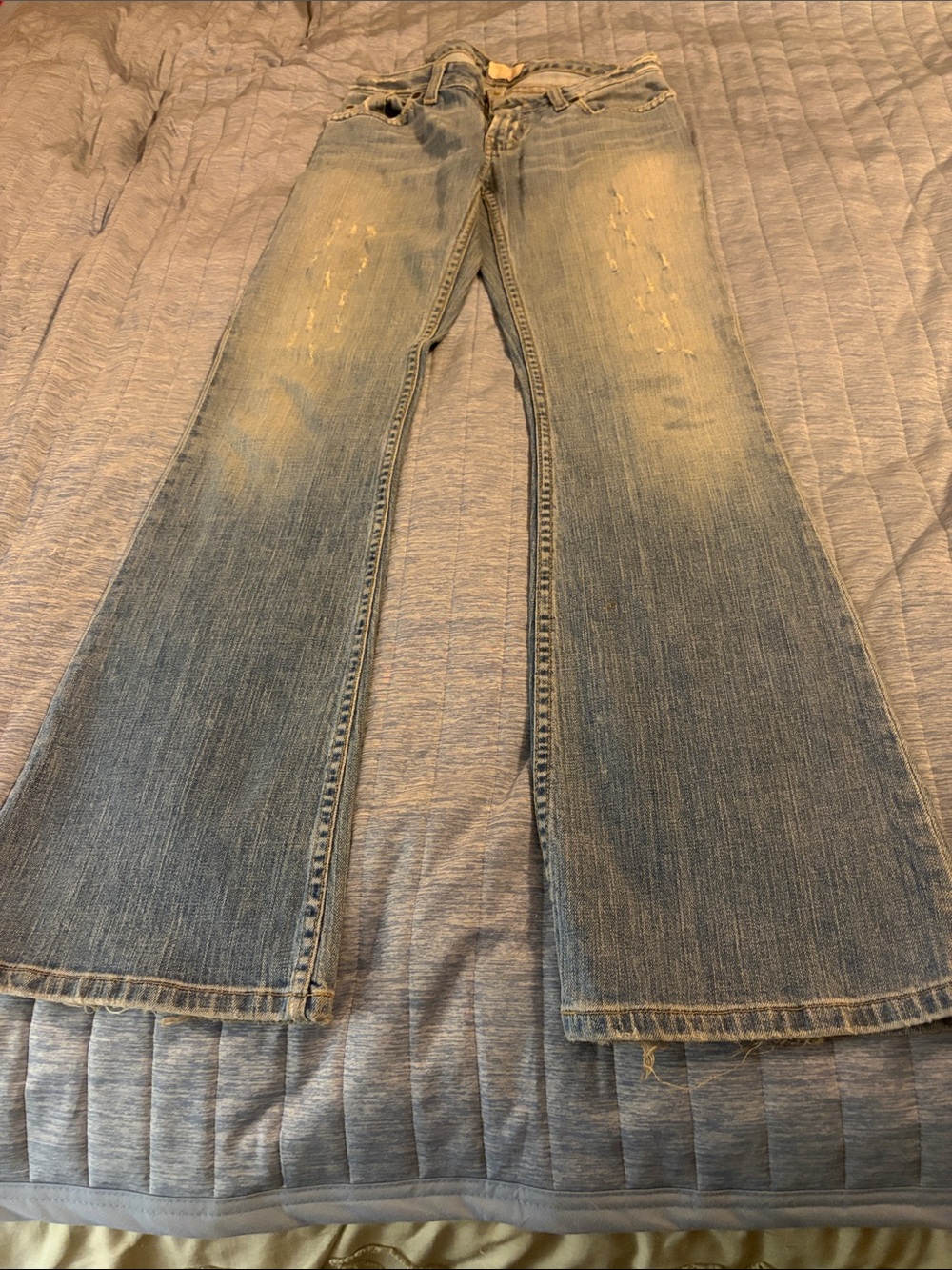 BKE Women's Light Blue Flare Jeans